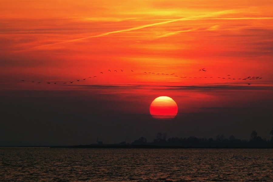 Zingst Zingstxx.jpg