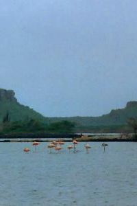 Bonaire Nationalpark