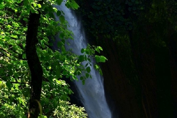 016catarata_del_toro.jpg