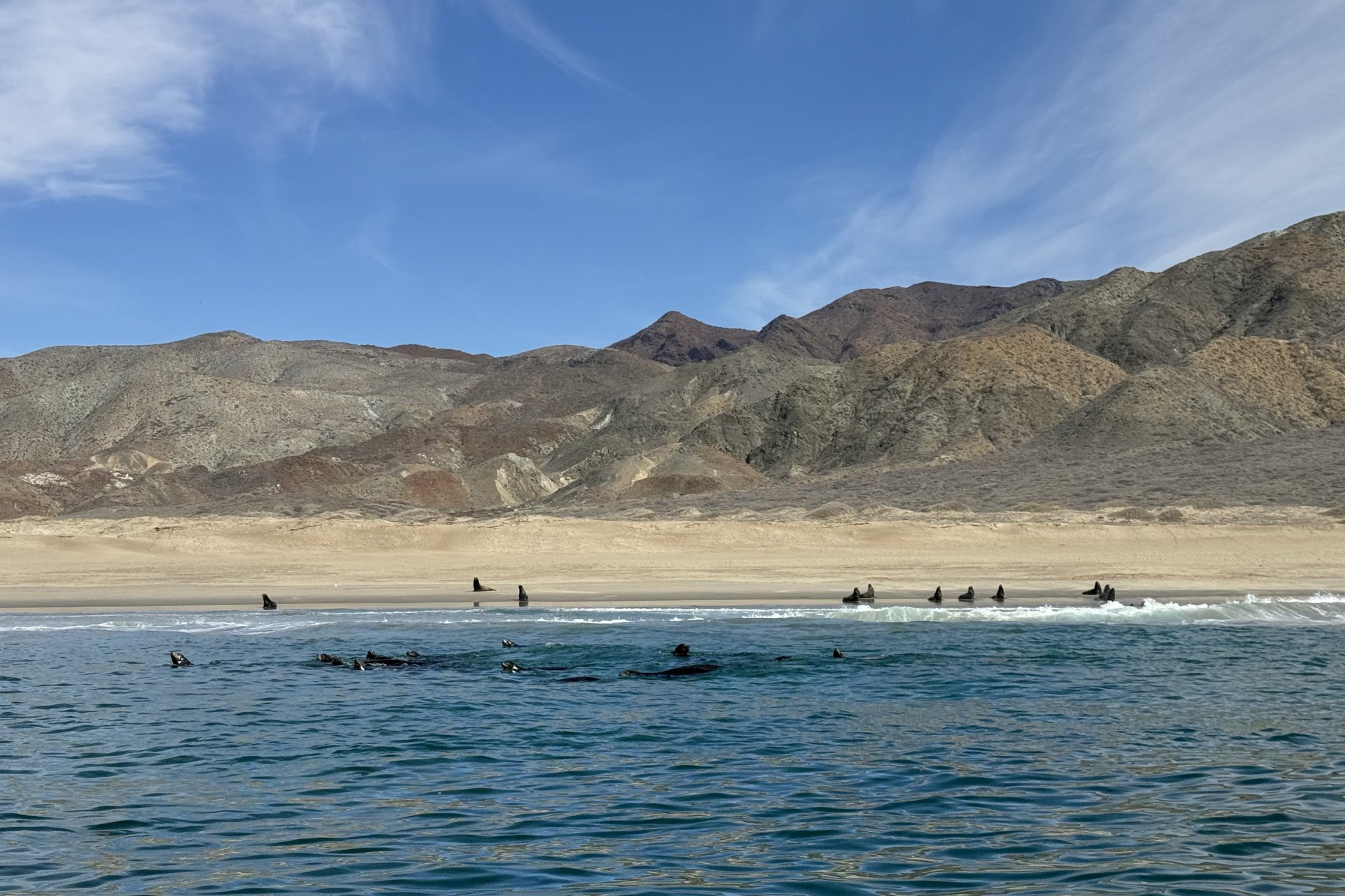 Bahia Magdalena 1.jpg