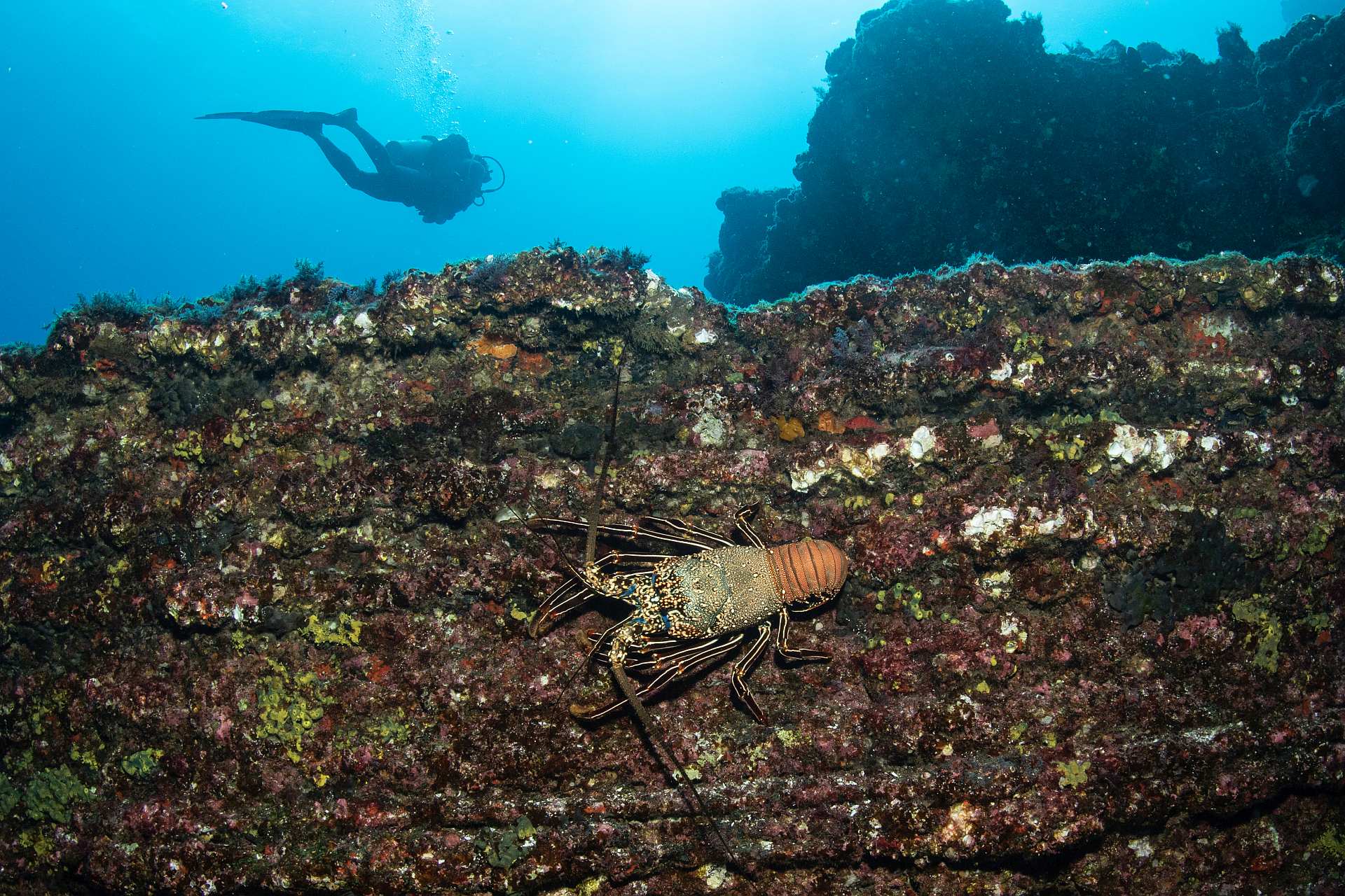El Boiler 16.jpg