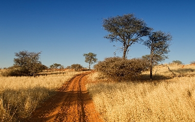 006-Kalahari.jpg