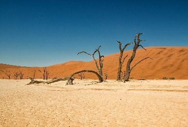 016-Dead-Vlei.jpg