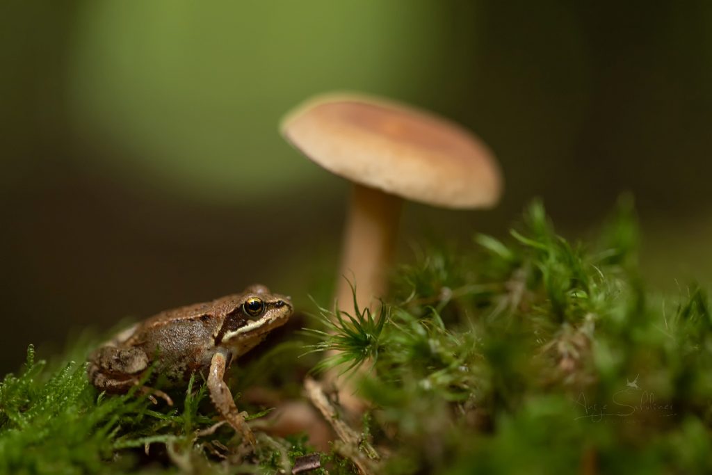 Foto des Monats Oktober 2025